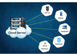 Scalable Solutions: Elevate Your Business with Cloud Server Services